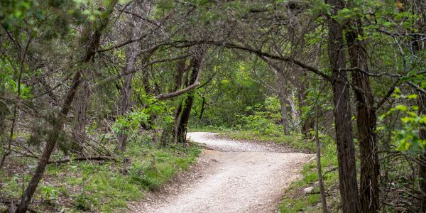 A winding dirt path through a lush, green forest with arching branches overhead near Enclave at the Dominion.